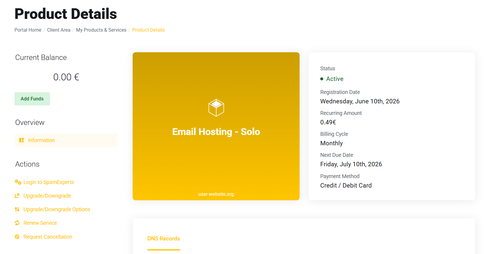 Email Hosting - Solo product details in the client area