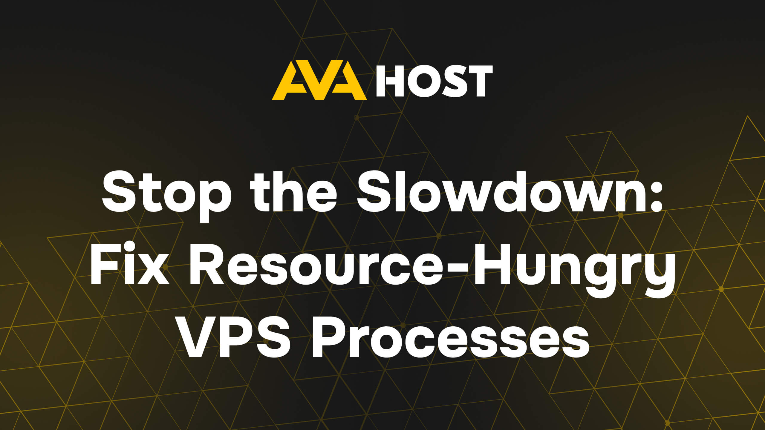 ava.hosting