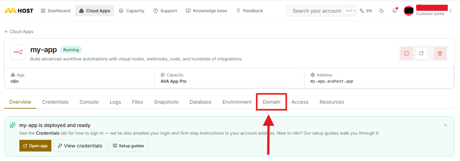 Сторінка керування AVA HOST Cloud App з виділеною вкладкою Domain